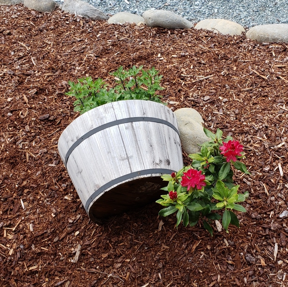 Meet your Posher, Michell